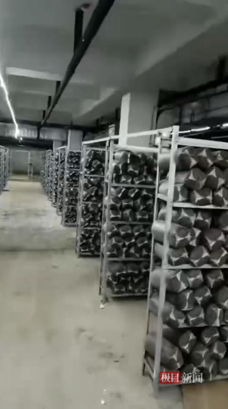 小区地下车库的蘑菇菌包(受访者供图)