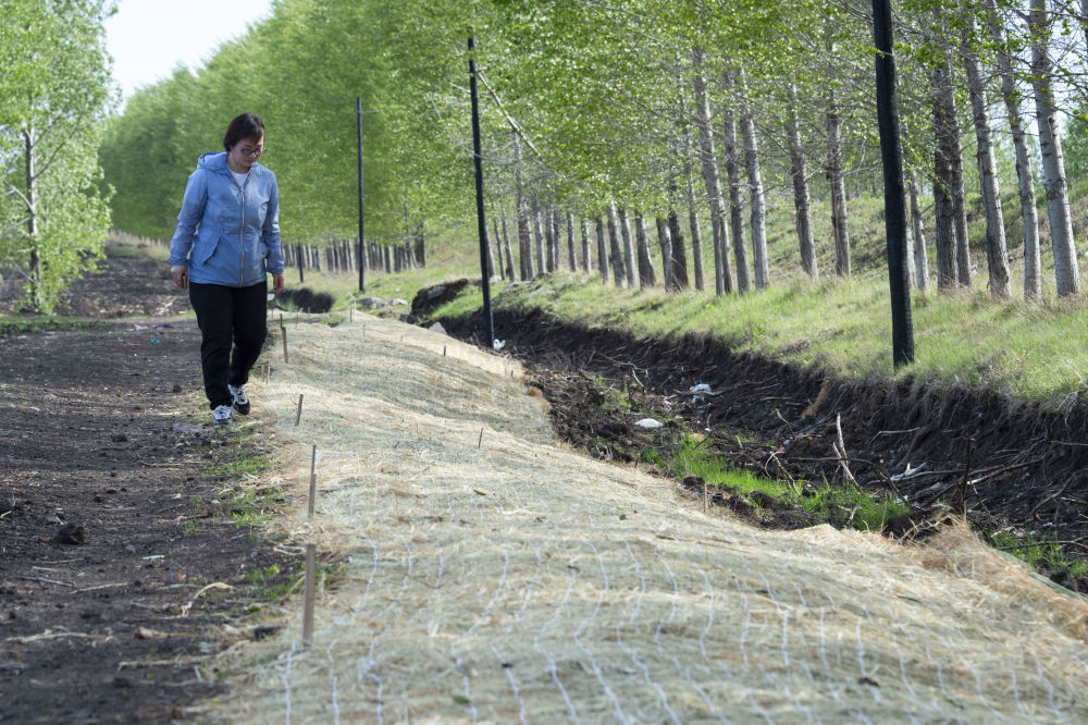 2022年5月23日，在黑龙江省海伦市前进镇光荣村，黑龙江省农业科学院科研人员在进行坡面生态修复的黑土坡耕地中查看治理情况。