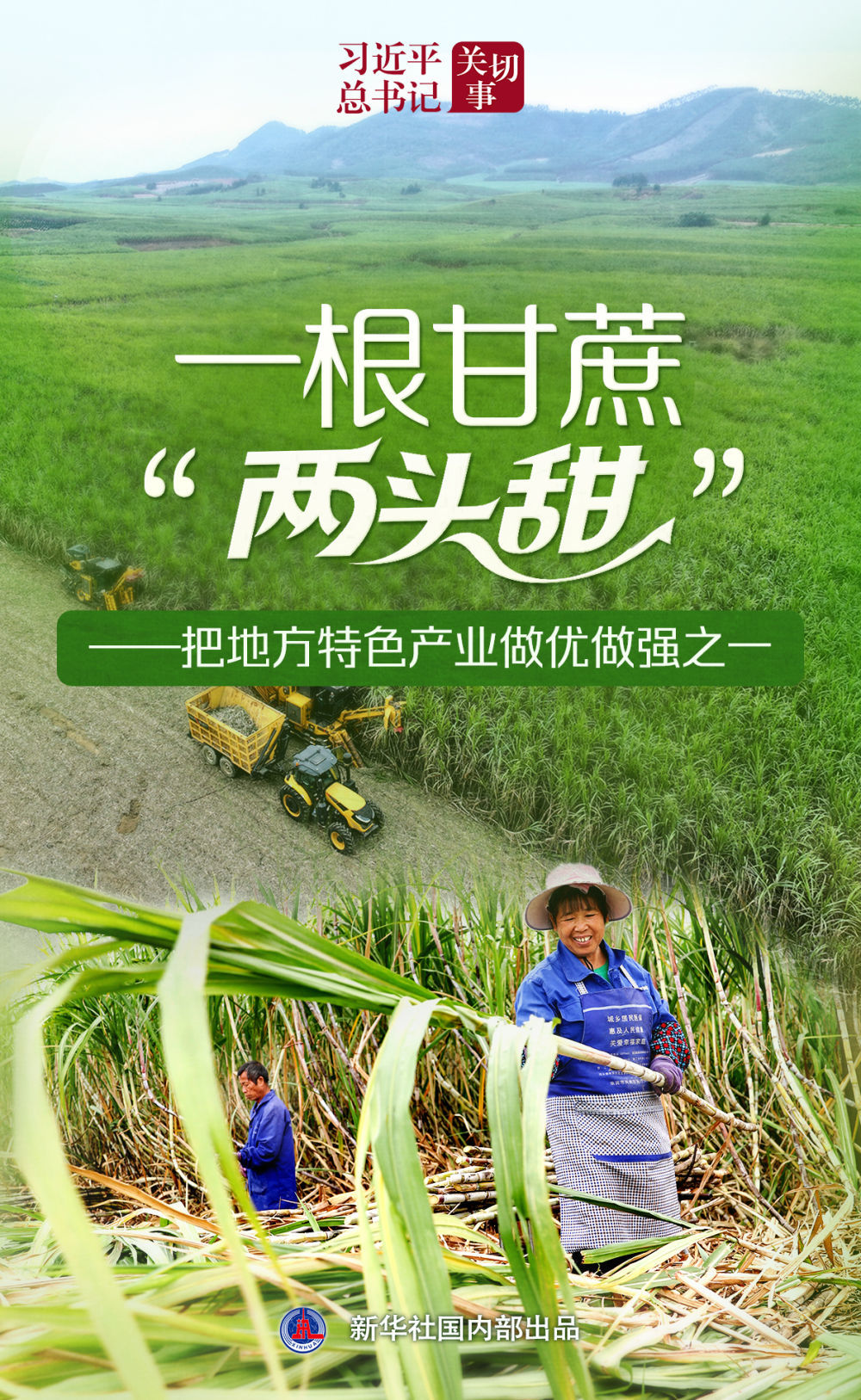 习近平总书记关切事｜一根甘蔗“两头甜”——把地方特色产业做优做强之一