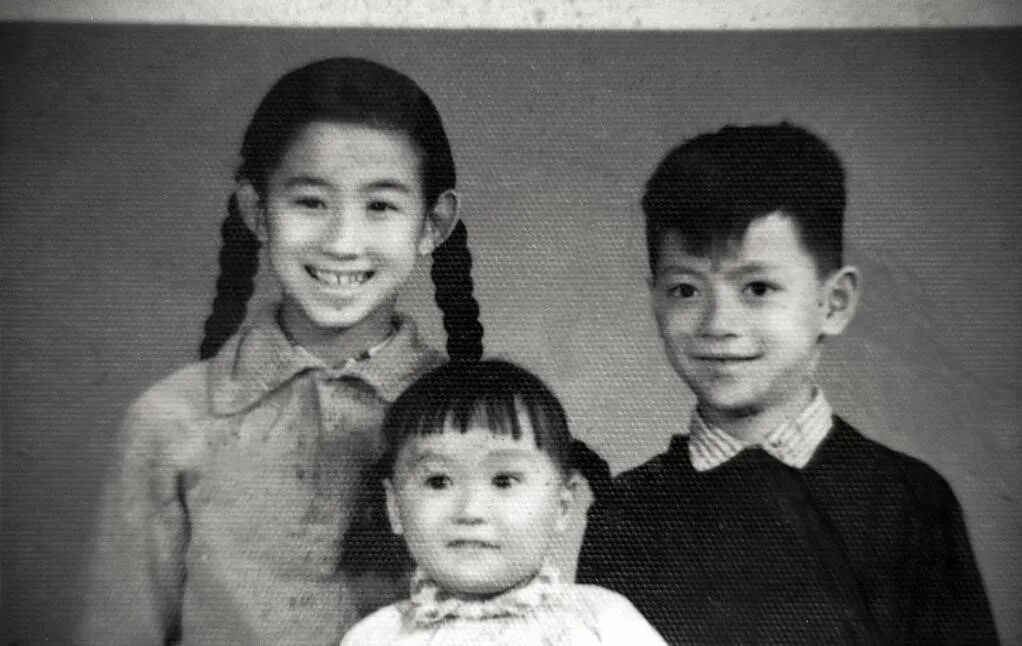 少年時期的沈石溪