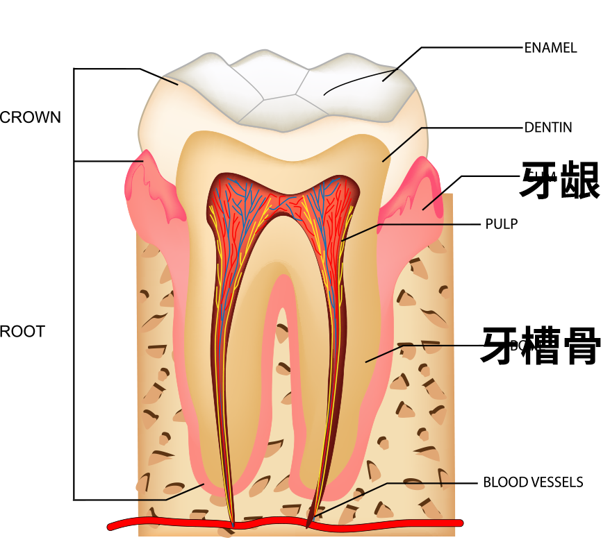 图片来源:站酷海洛