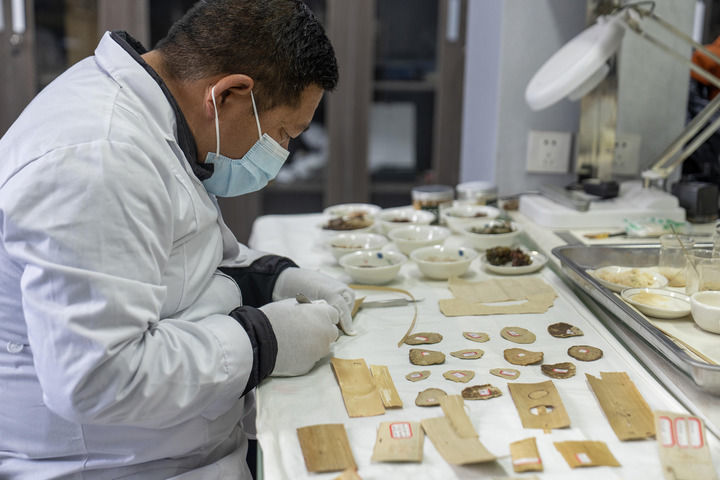 布达拉宫贝叶经实验性修复小组实验室工作人员对贝叶进行处理（2025年5月25日摄）。新华社记者 旦增尼玛曲珠 摄