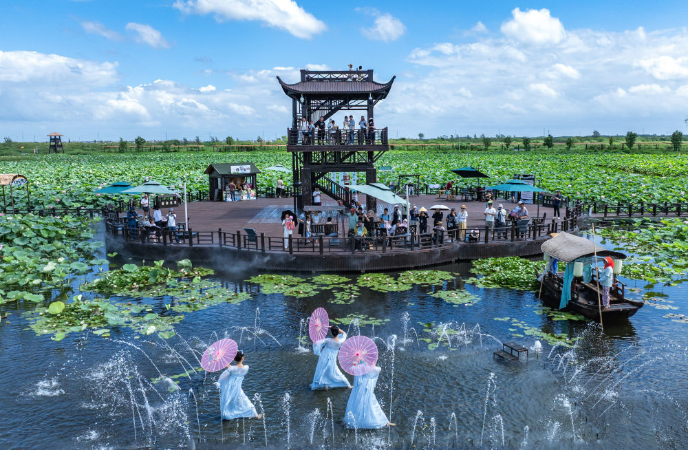 7月26日，游客在江苏省兴化市万亩荷塘景区观看表演（无人机照片）。新华社发（周社根摄）