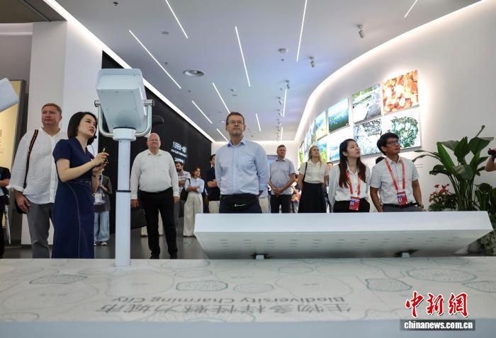 8月7日,部分来蓉参加成都世运会相关活动的驻华使节和领馆官员在成都规划馆参观。 中新社记者 王磊 摄