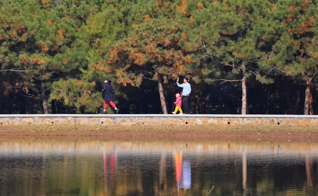 坝河“破茧”焕新,点亮城市滨水生活