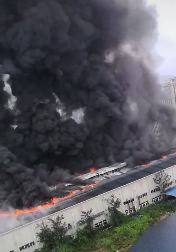 (圖為網(wǎng)友發(fā)布的視頻截圖)