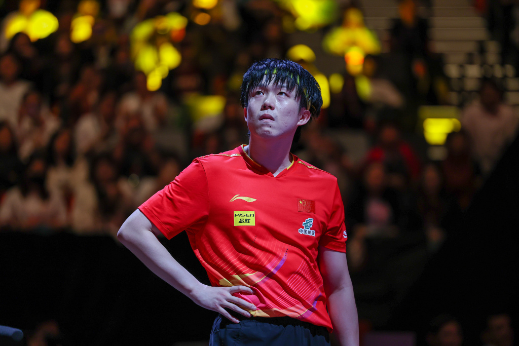 王楚钦。