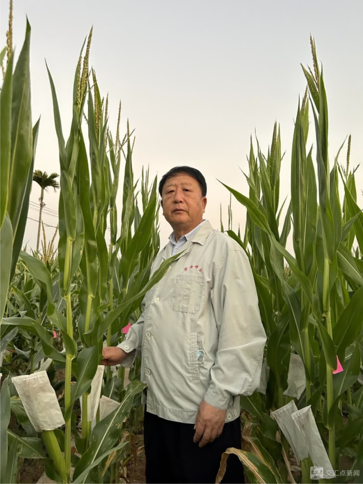 李登海在海南试验田