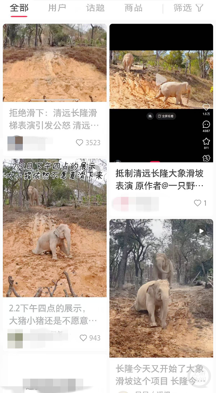 大象“滑滑梯”引起网民批评。 网络图