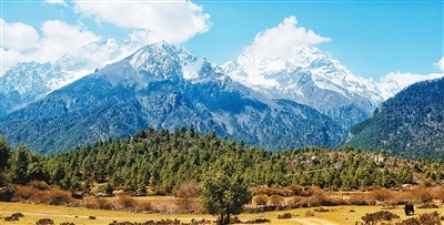 友谊之桥，双向奔赴（边城见闻）