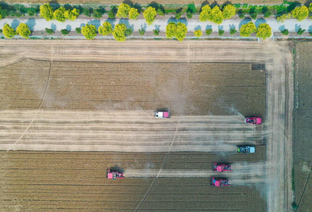 这是5月28日在河南省周口市商水县张庄镇张坡村拍摄的小麦机收减损技能大比武活动现场，现场（无人机照片）。新华社记者 郝源 摄