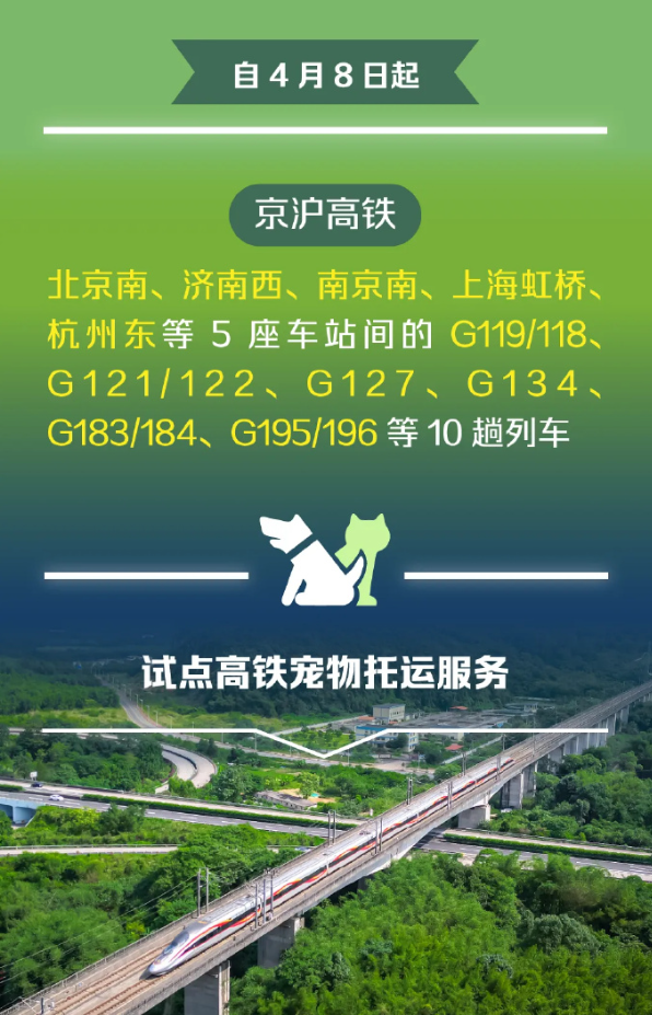 12306里,有多少你不知道的秘密?