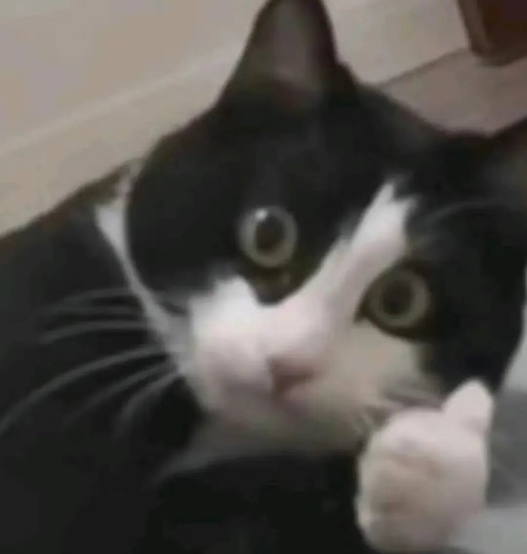 AI芯片独角兽一年估值翻番!放话“三年超英伟达”,最新融资53亿超预期