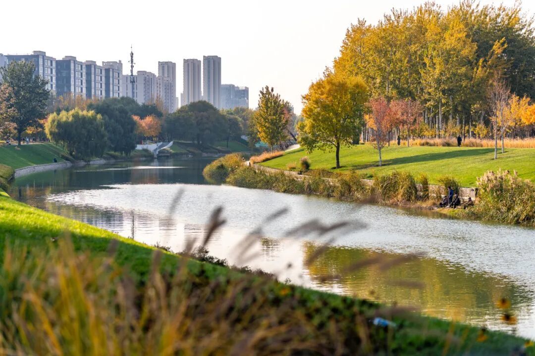 坝河“破茧”焕新,点亮城市滨水生活