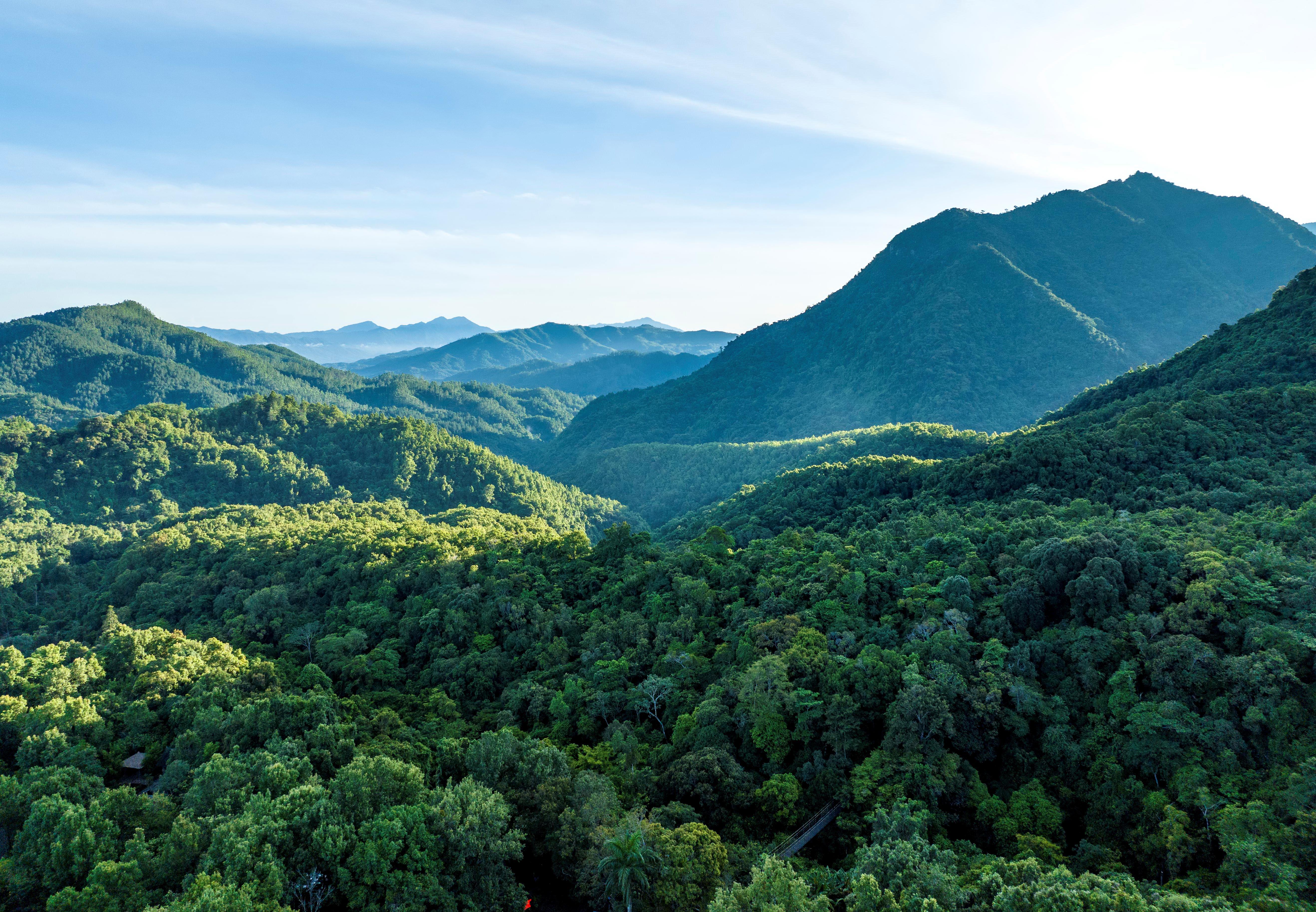 △海南热带雨林国家公园五指山片区