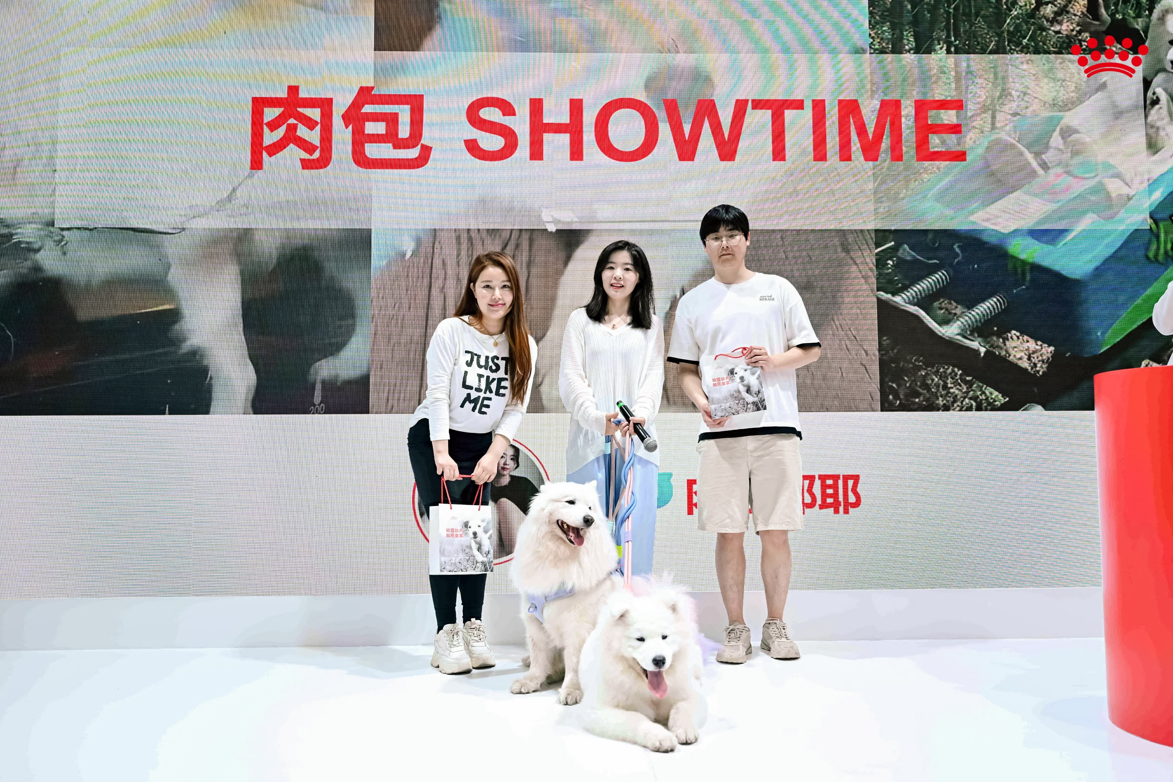 严肃的学术探讨与轻松的萌宠文化在皇家展<span class=