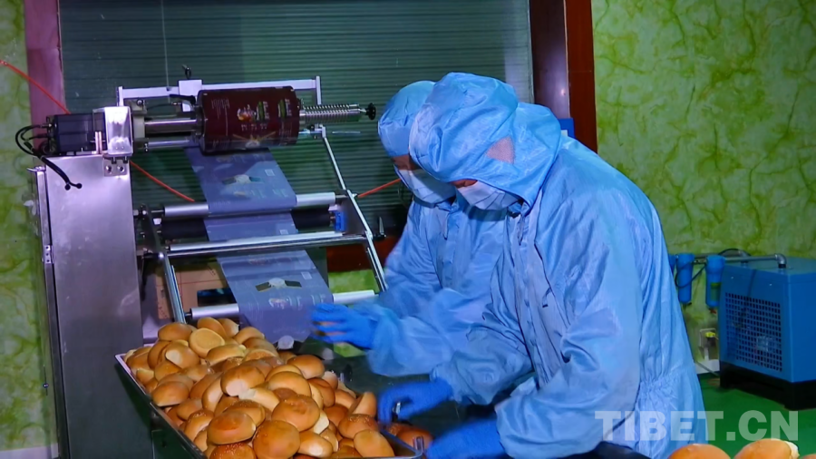 图为曲珍创办的西藏老青稞食品科技开发有限公司生产线