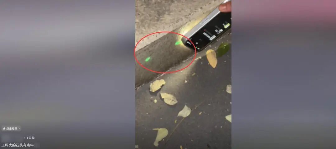 网友发布的视频(图源:网络)