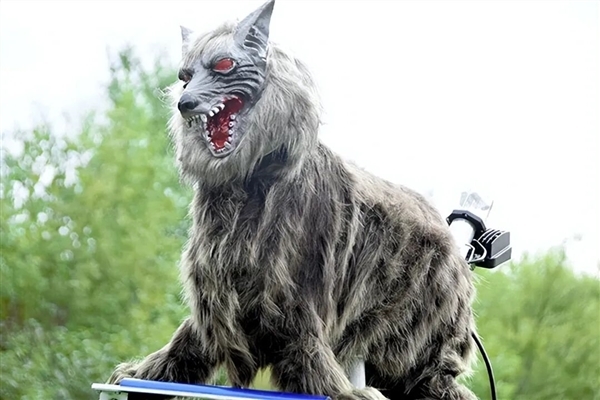 眼睛闪着红光、90分贝噪音 日本多地用“机器狼”驱赶熊