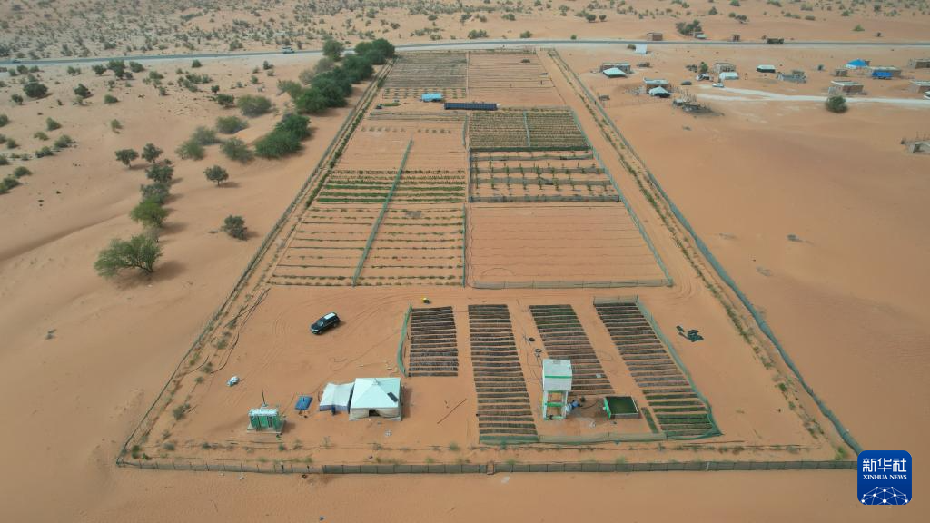 这是5月22日拍摄的位于毛里塔尼亚西部特拉扎区比尔·巴尔卡村的中非绿色技术公园(无人机照片)。新华社记者 司源 摄