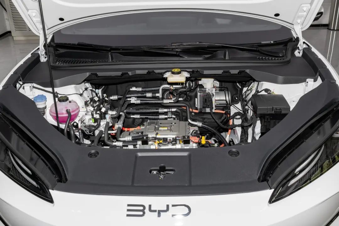 DCP_7ad6040a49dc1c633da05c702c46e916~2508x0