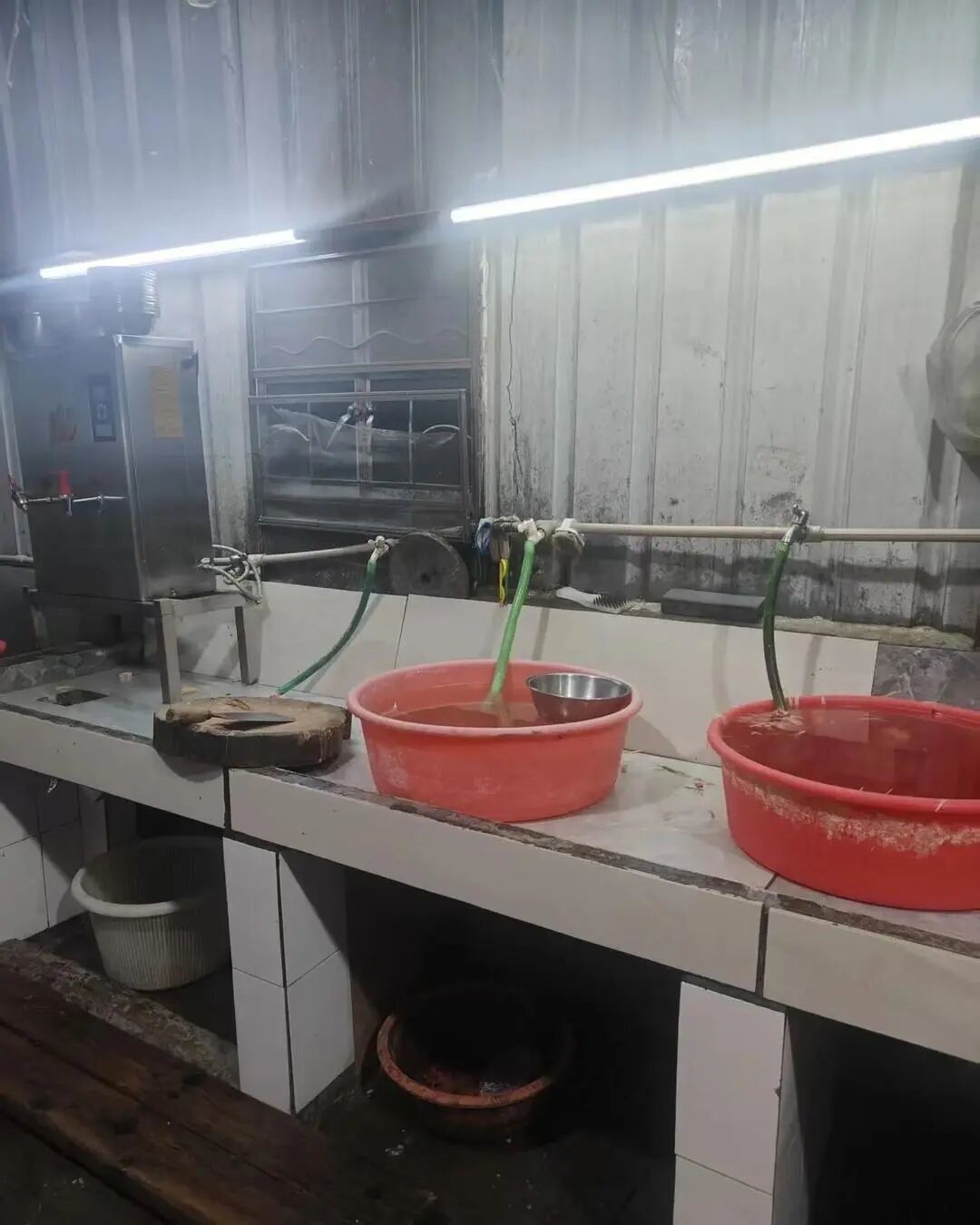 ▲該店后廚已見不到活貓的蹤跡