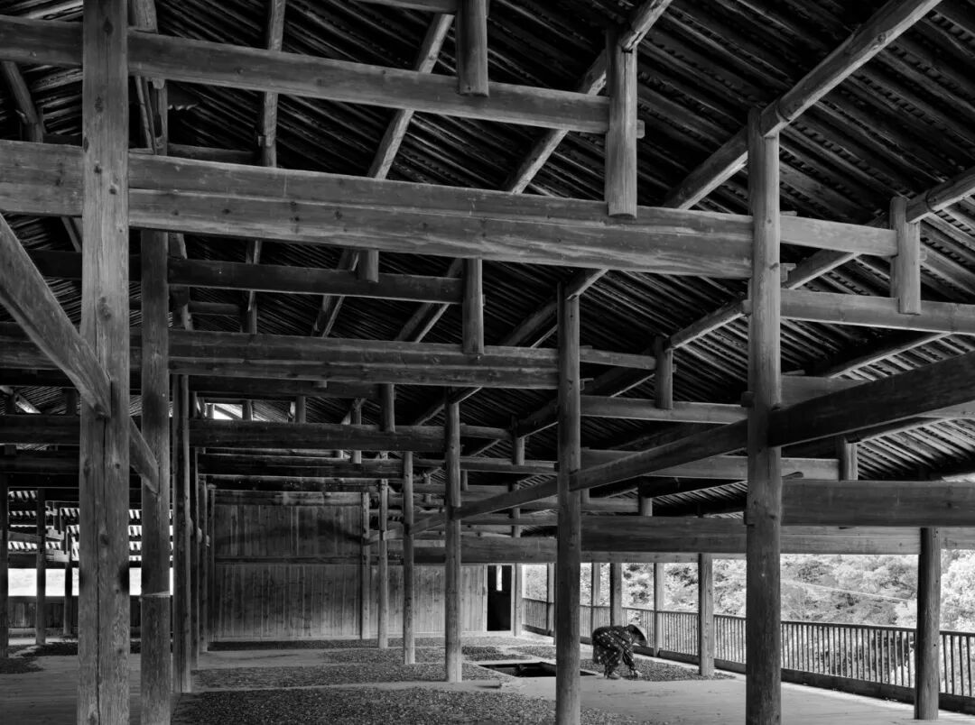 ⽩茶⼯坊 Old Workshop of White tea 2024