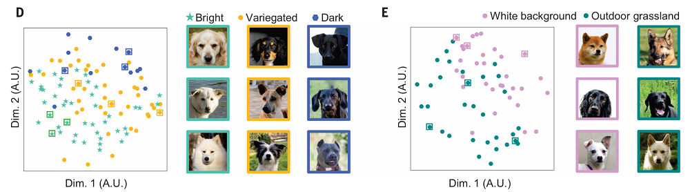 上海交大全光AI芯片登Science!比A100快百倍