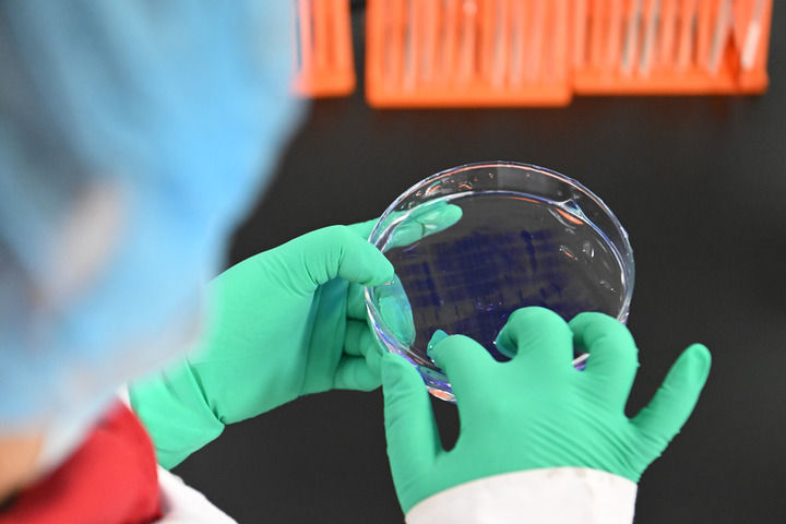 2025年2月20日，在位于京津中关村科技城的中科拜克（天津）生物药业有限公司，实验人员在检验生物制品蛋白分子量。新华社记者 孙凡越 摄