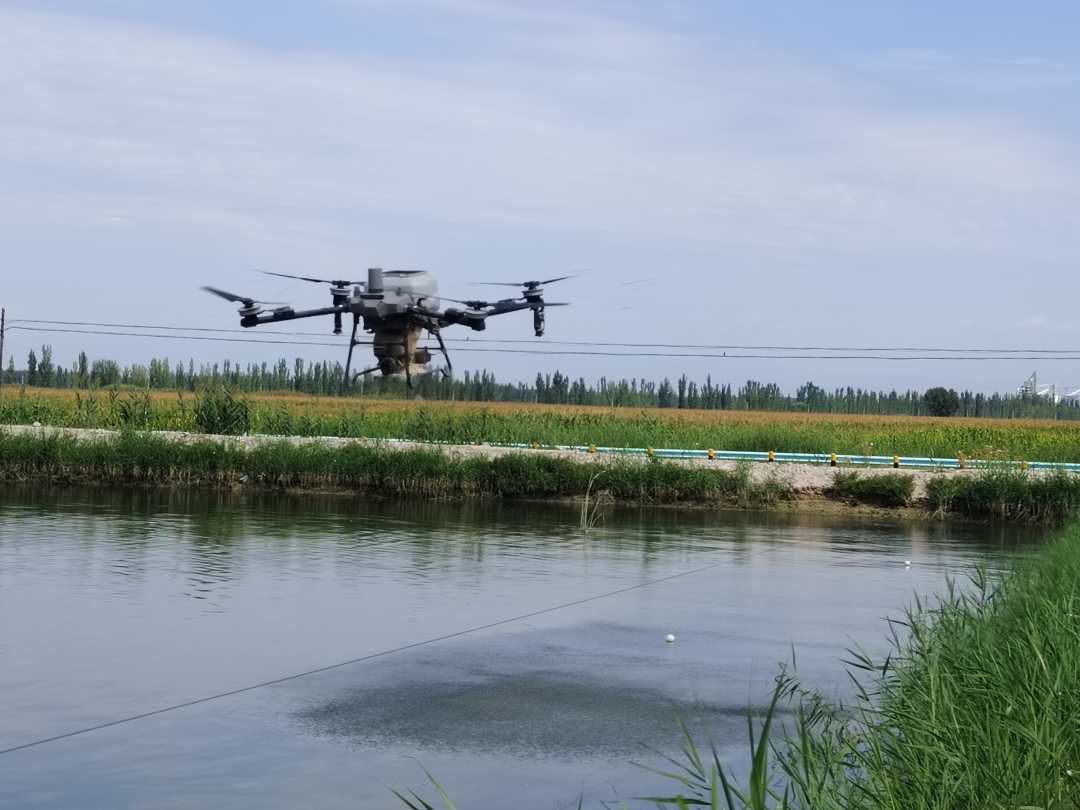 库勒特克其村特色水产养殖基地内,无人机正在播撒饲料。刘沛恺摄