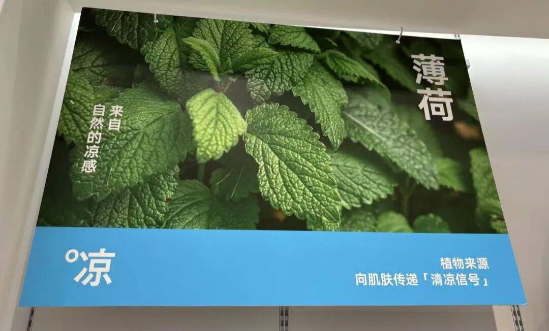 内容图片