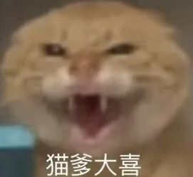 太爽了,去年买不起的24+1TB顶配,现在价格彻底崩了