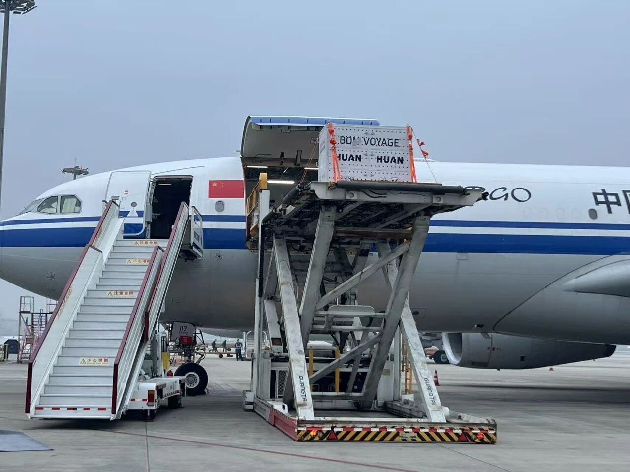 △2025年11月26日旅法大熊貓“歡歡”“圓仔”平安回國