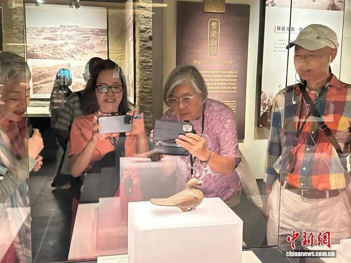 图为游客在武威市博物馆参观彩绘漆木鸠 资料图 戴文昌 摄