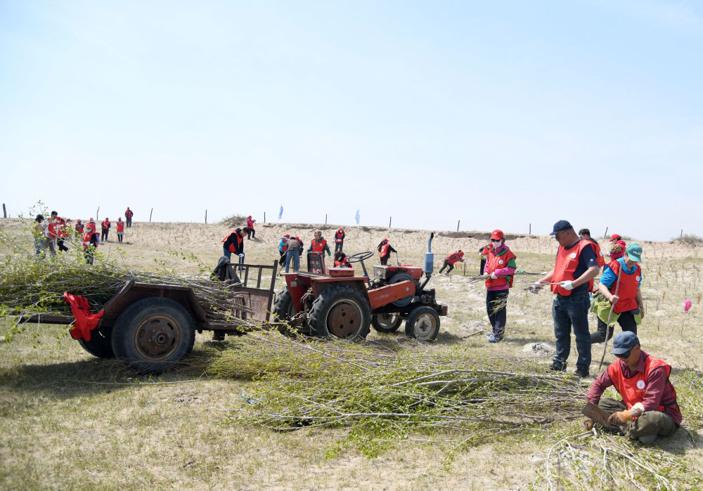 人们在地处浑善达克沙地的正蓝旗宝绍岱苏木开展植绿活动。新华社 发