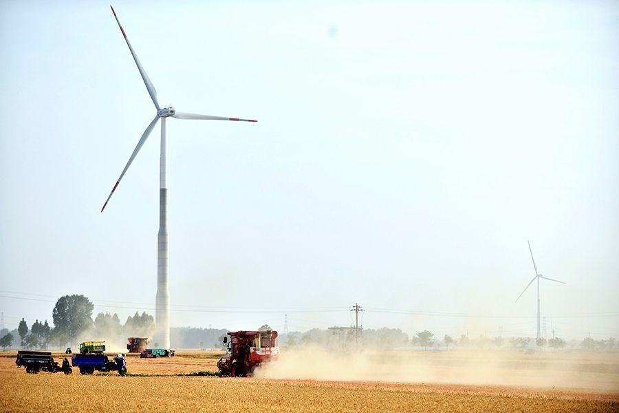 6月5日，在河南省滑县高平镇高标准农田内，收割机正在抢收小麦。新华社发（王克伟）摄