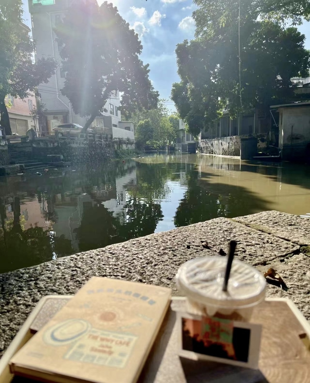 毛小娟镜头下的岭南水乡顺德。