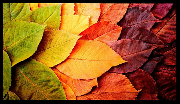 投影仪界的“六边形战士” 当贝S7 Ultra Max高端家用投影仪深度评测