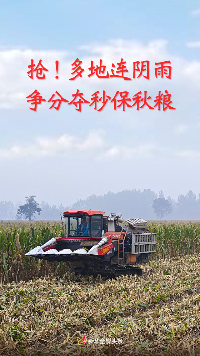 抢！多地连阴雨 争分夺秒保秋粮