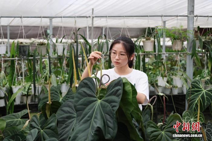 “95后”廖万甜在基地中观察植物。受访者供图