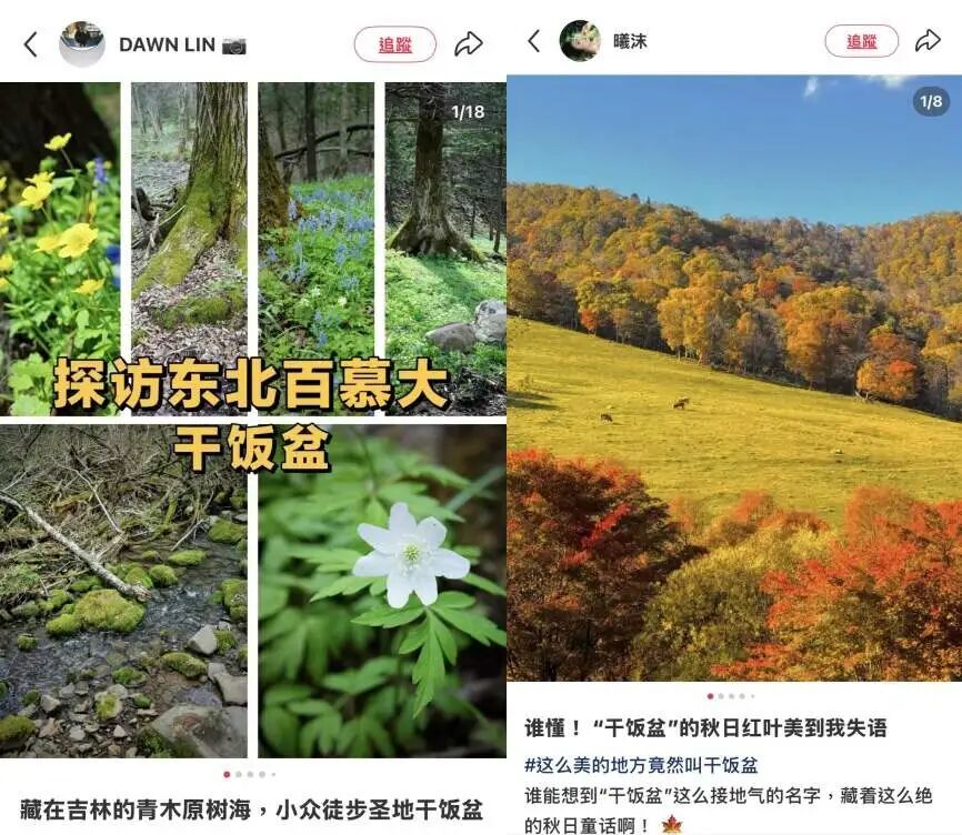 图源:小红书@DAWN LIN📷、@曦沫 (已获授权)