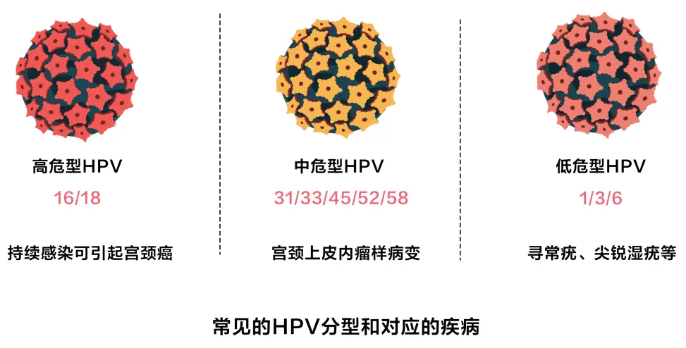 图源:腾讯医典她知
