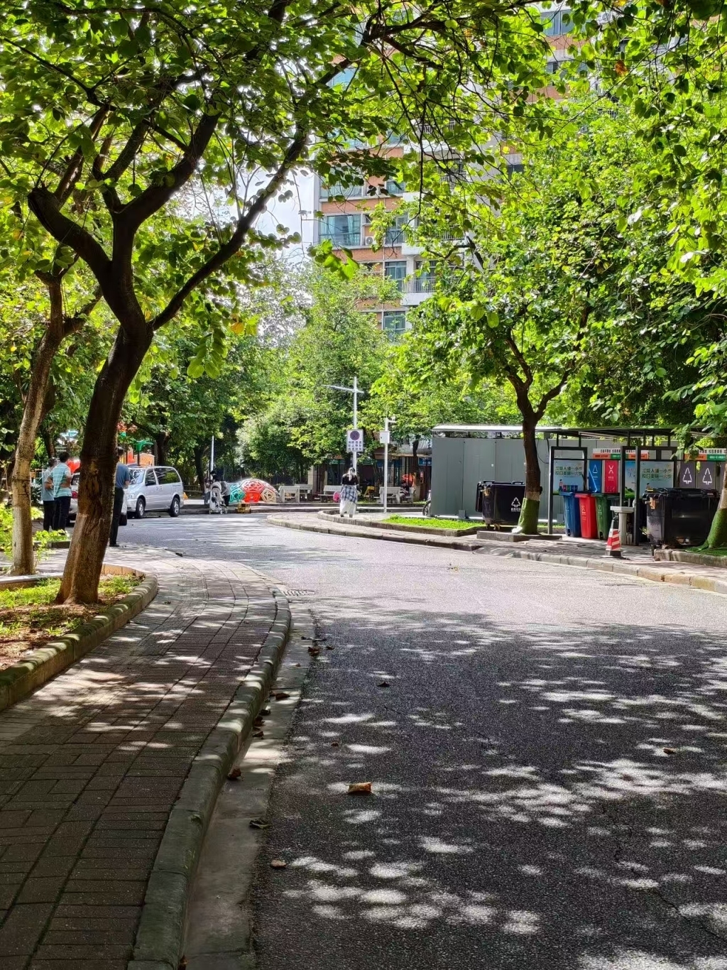 事发路段。受访者供图