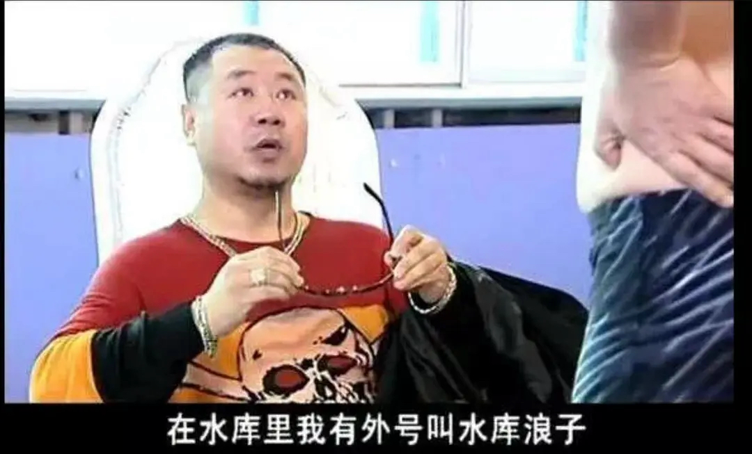 范德彪的经典台词。(图/《马大帅》)