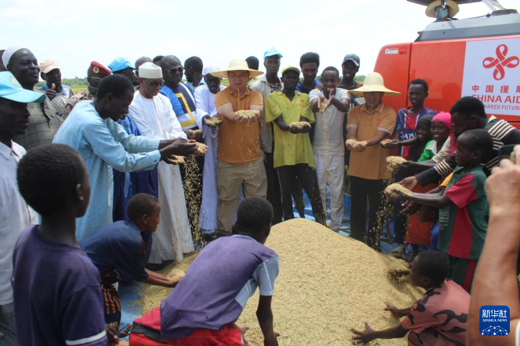 10月4日,在乍得哈杰尔-拉米斯省杜吉亚区米代金村,中国农业专家、乍方政府官员和村民共同庆祝水稻丰收。新华社发(阿诺摄)
