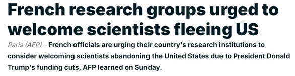 △法新社报道截图