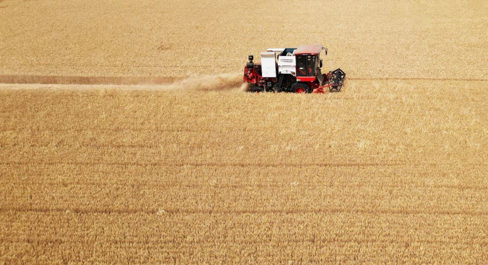 6月2日,农机手驾驶联合收割机在山东省滕州市南沙河镇河汇村麦田里收割小麦(无人机照片)。眼下是“三夏”农忙时节。记者从山东省农业农村厅获悉,5月底开始,山东南部丘陵山区(枣庄、临沂等)陆续开始收获作业;6月2日前后,鲁西南大面积开机收获;6月5日左右,山东进入夏粮机收高峰期。新华社发(李志军摄)