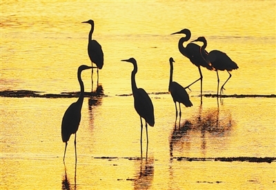 生态文明建设实现新进步(新时代画卷·决战决胜“十四五”)