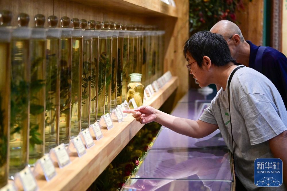 在新疆伊犁哈萨克自治州霍城县解忧公主薰衣草园，游客在薰衣草博物馆参观（6月14日摄）。