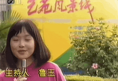鲁豫主持《艺苑风景线》